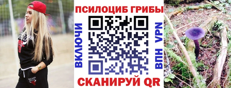 Купить где  Балабаново  Псилоцибиновые грибы Magic Shrooms 